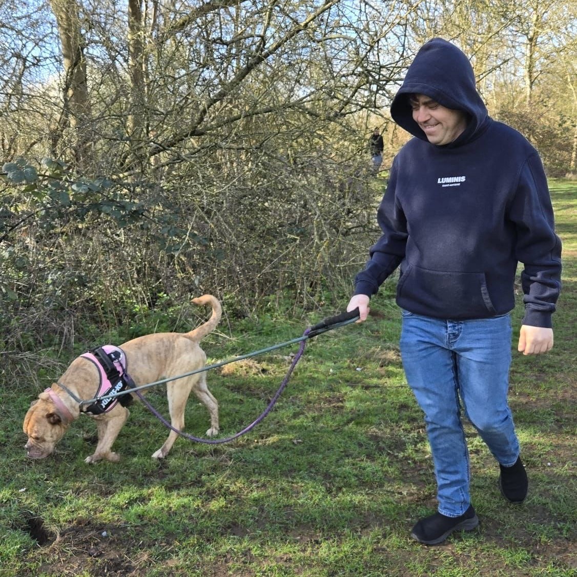 Dog-walking_4_sq.jpeg